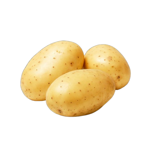 Potato