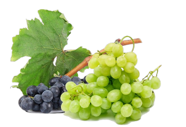 Grapes