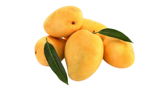 Kesar Mango