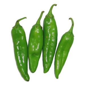 Chilli Bhavanagri