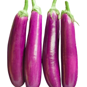 Eggplant Purple Strap