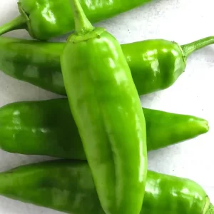 Green Bharva Chilli